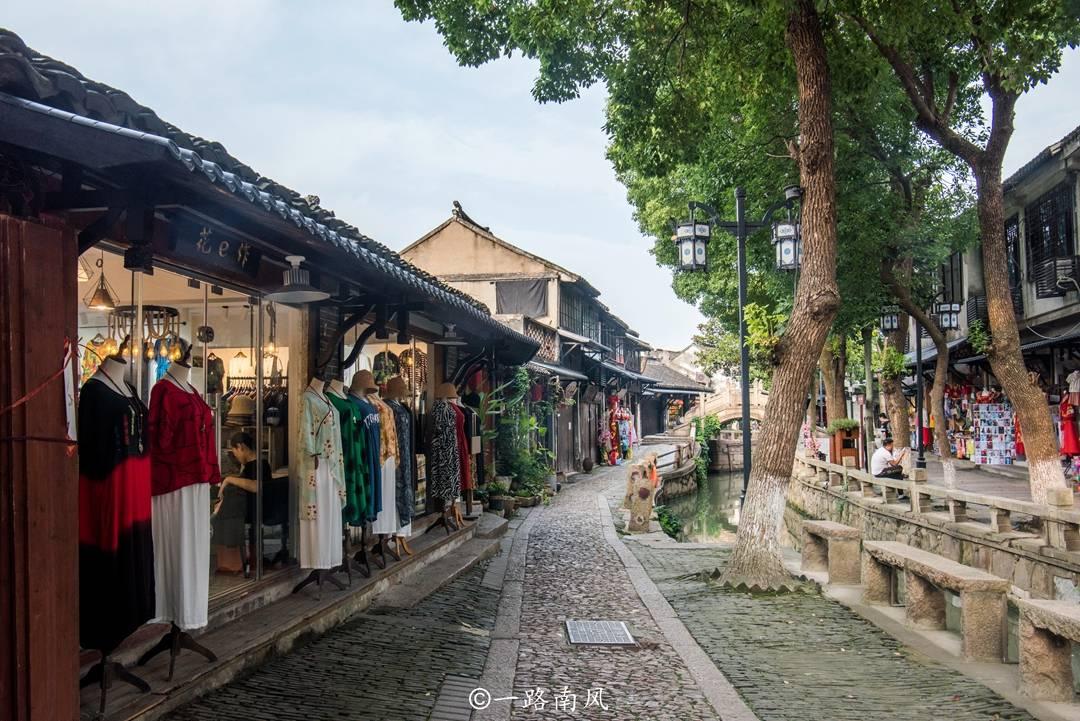 救援受困的鹭